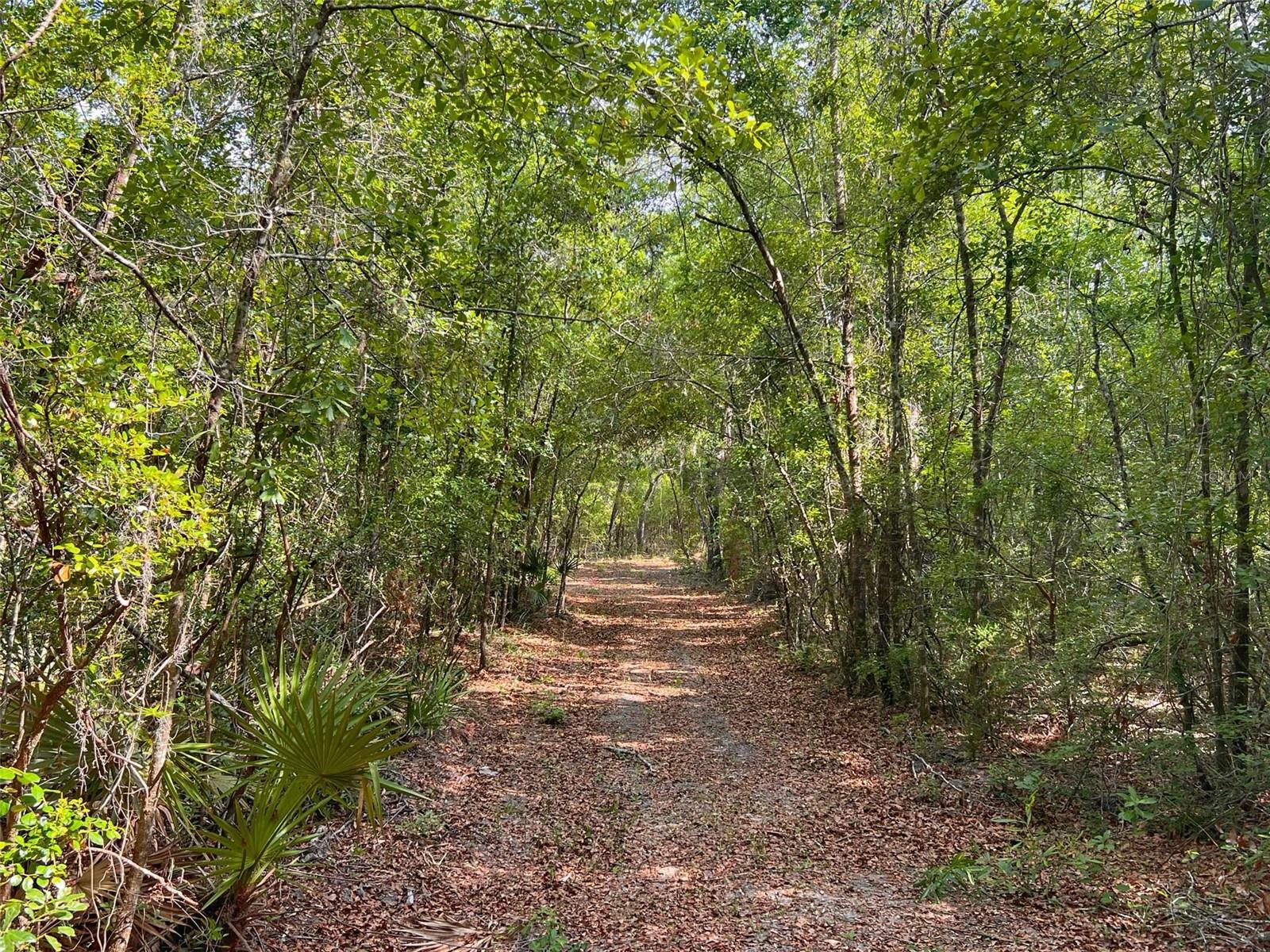 TBD NW 32ND PL, BELL, FL, 32619