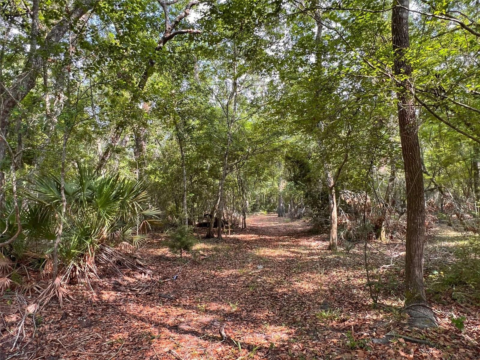 TBD NW 32ND PL, BELL, FL, 32619