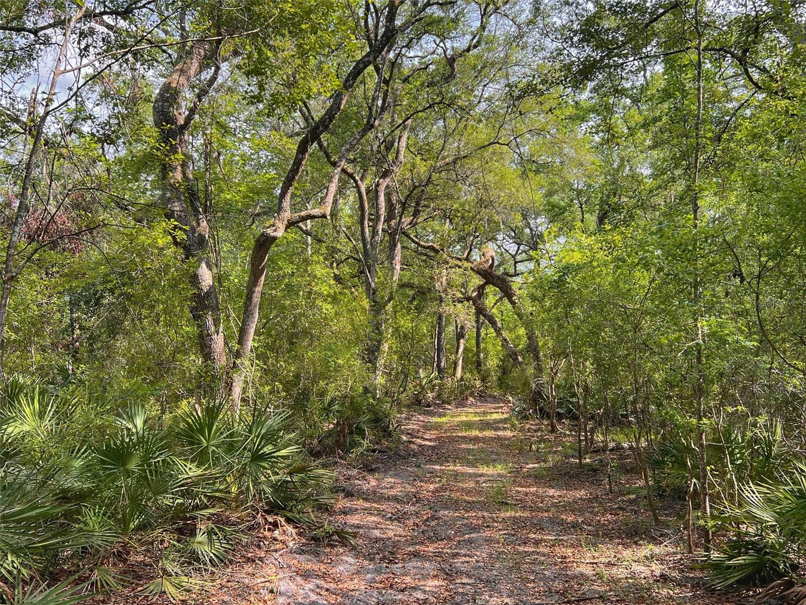 TBD NW 32ND PL, BELL, FL, 32619