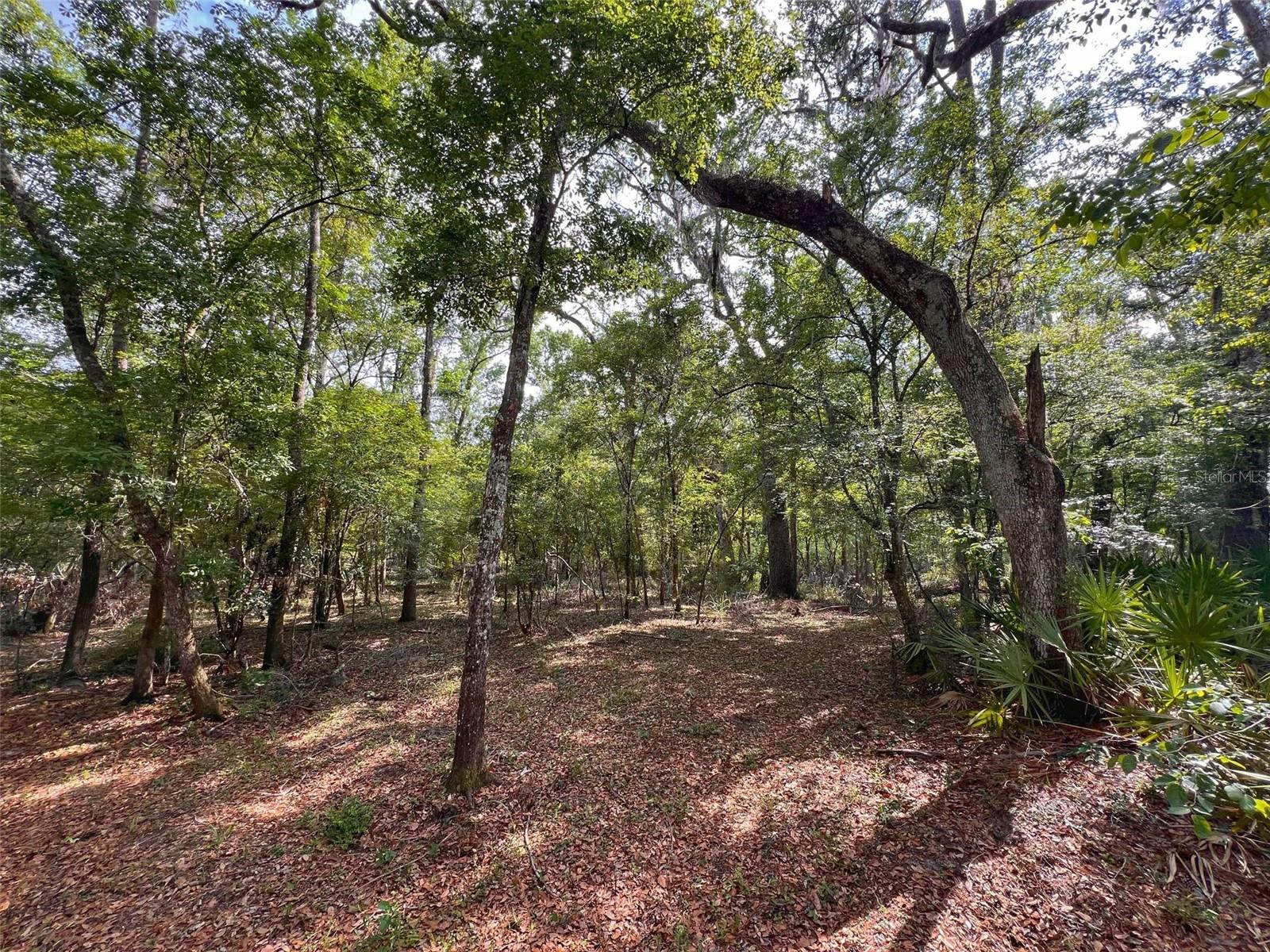 TBD NW 32ND PL, BELL, FL, 32619