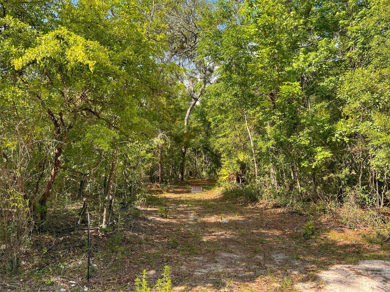 TBD NW 32ND PL, BELL, FL, 32619