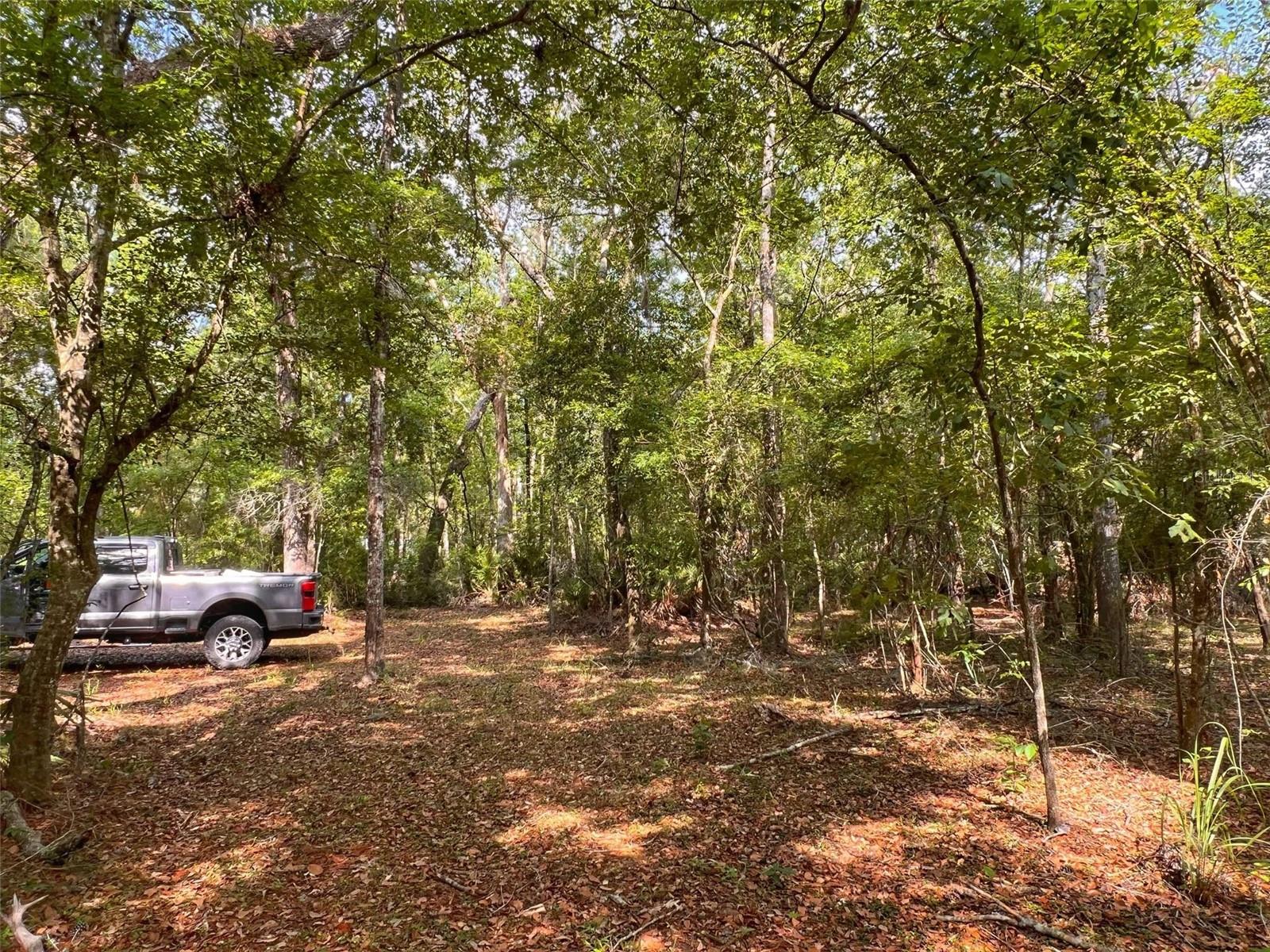 TBD NW 32ND PL, BELL, FL, 32619