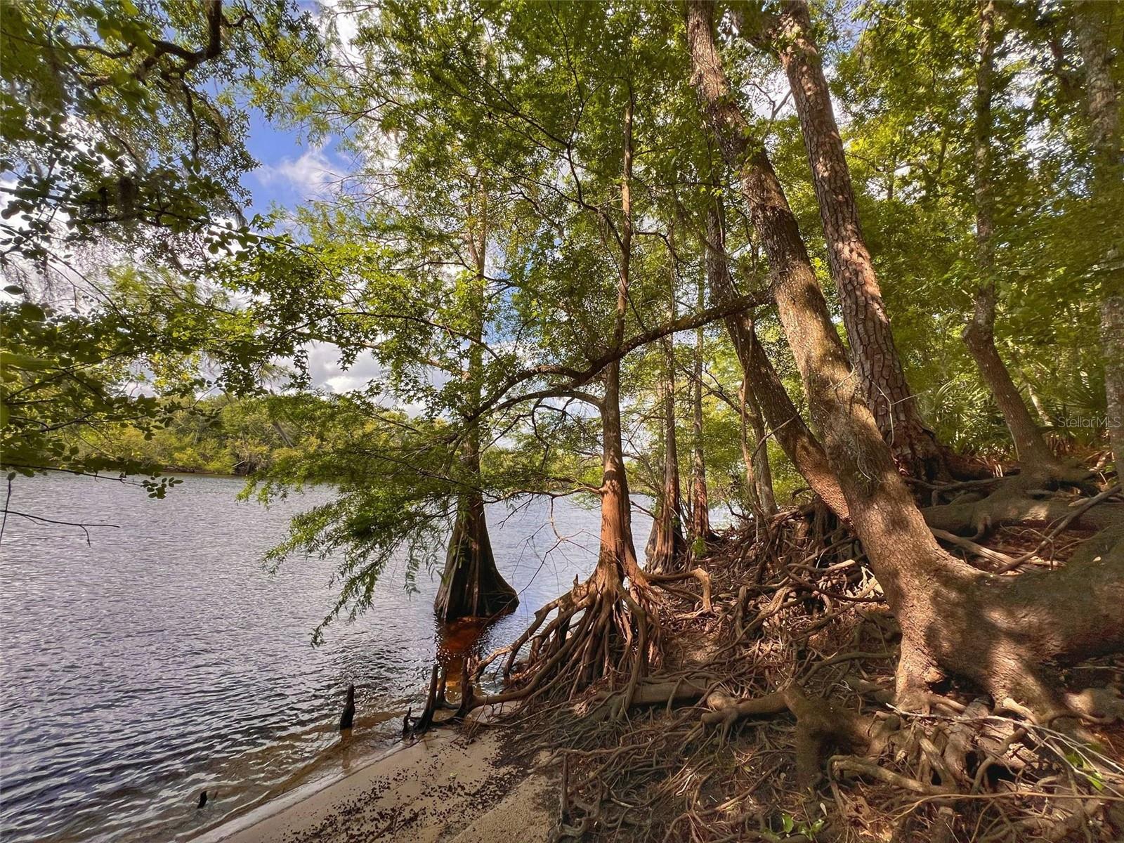 TBD NW 32ND PL, BELL, FL, 32619