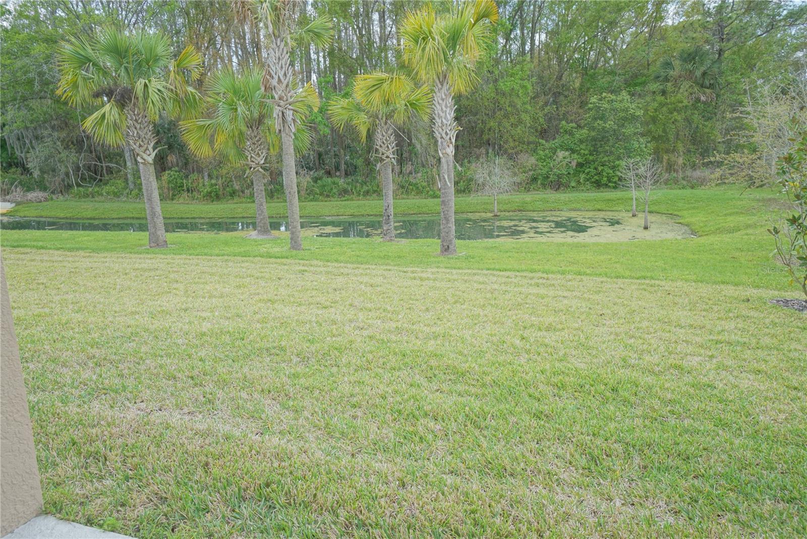 16370 HYDE MANOR DR, TAMPA, FL, 33647