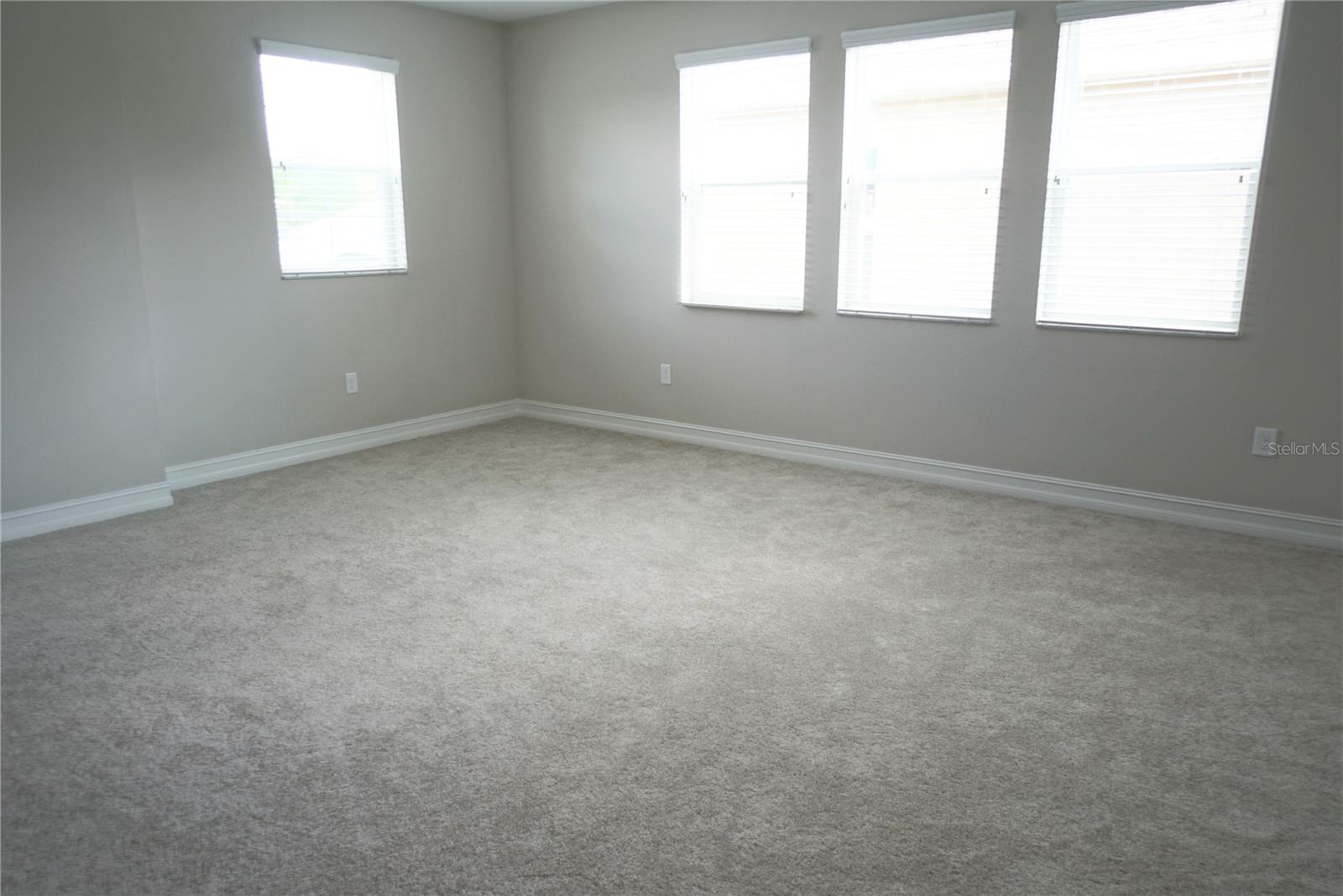 16370 HYDE MANOR DR, TAMPA, FL, 33647