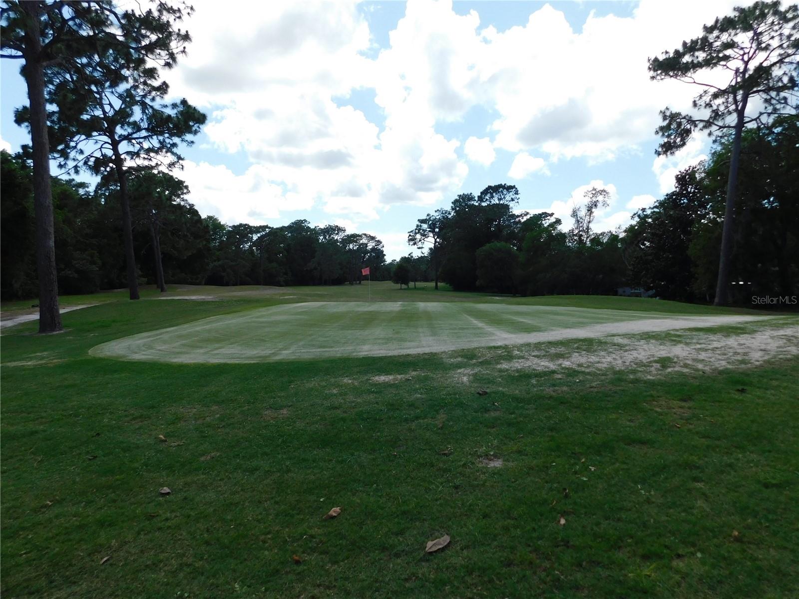 56 GOLFVIEW DR, HOMOSASSA, FL, 34446