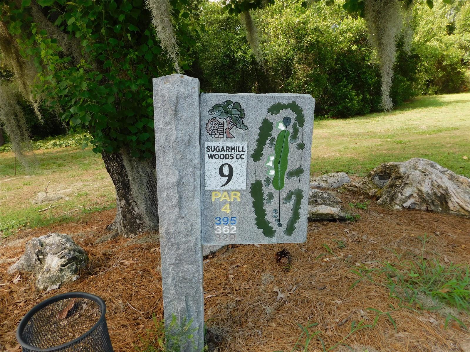 56 GOLFVIEW DR, HOMOSASSA, FL, 34446