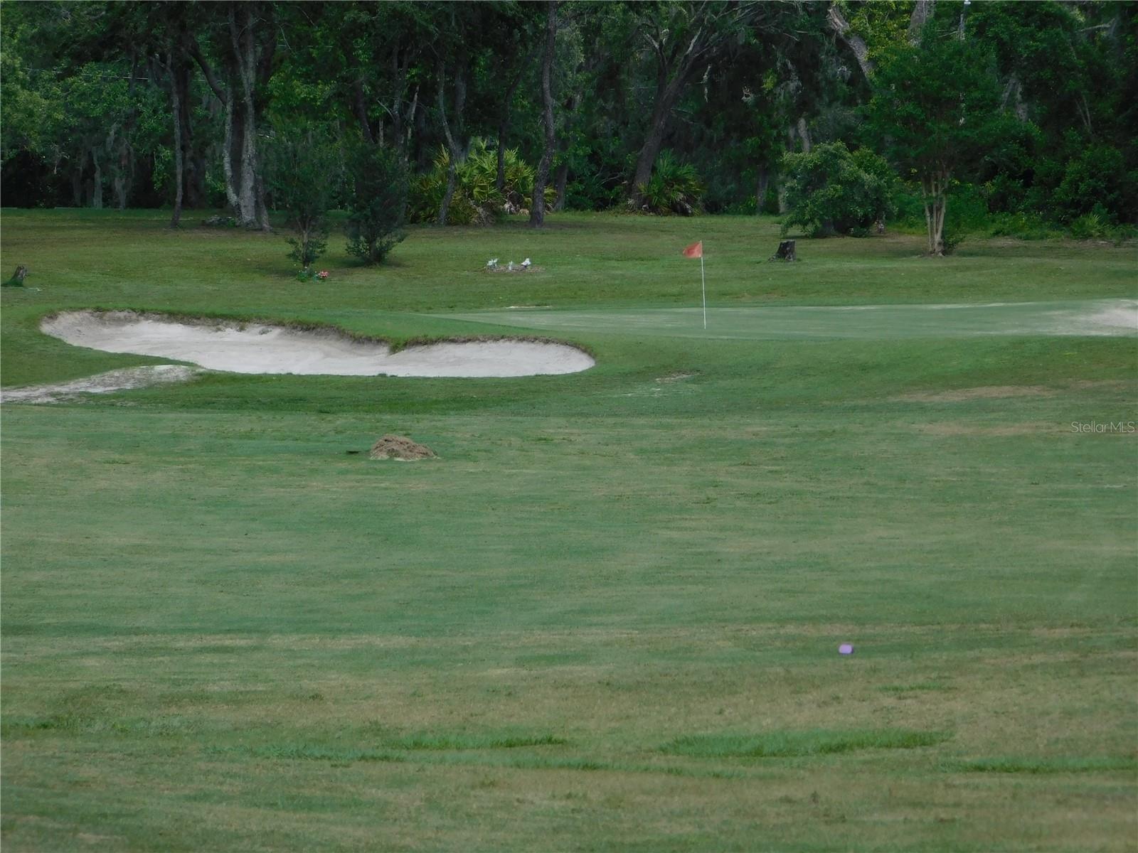 56 GOLFVIEW DR, HOMOSASSA, FL, 34446