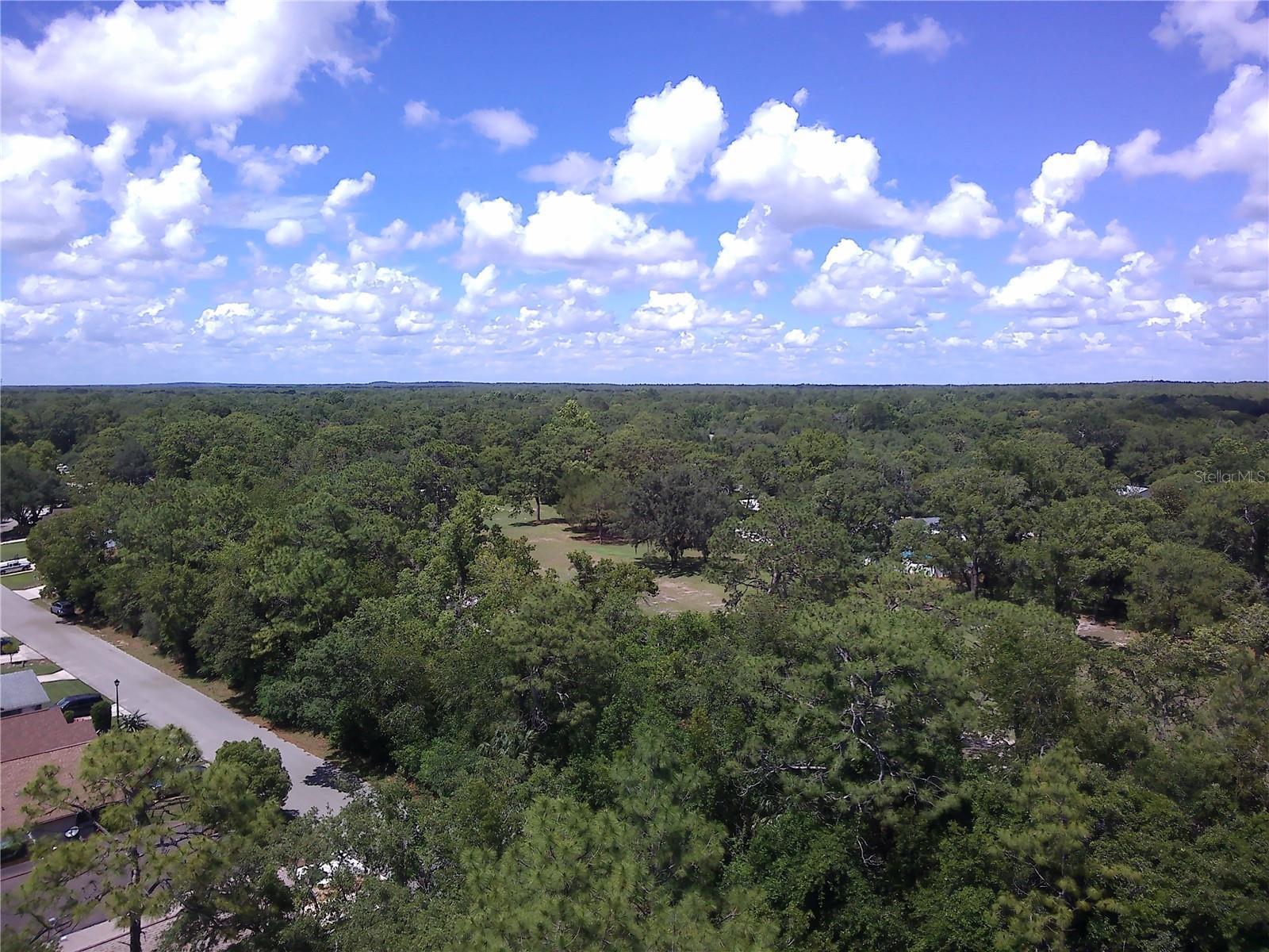 56 GOLFVIEW DR, HOMOSASSA, FL, 34446