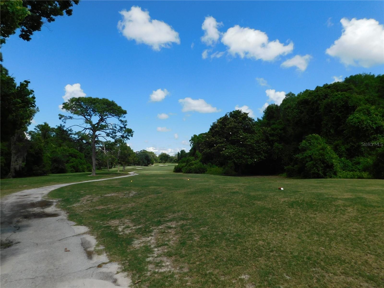 56 GOLFVIEW DR, HOMOSASSA, FL, 34446