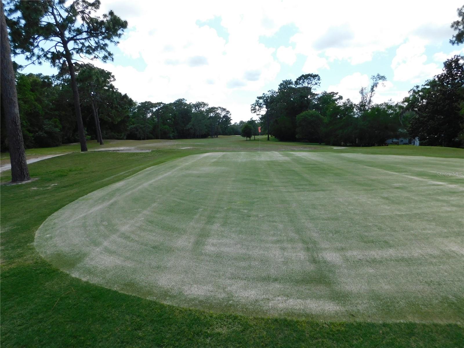 56 GOLFVIEW DR, HOMOSASSA, FL, 34446