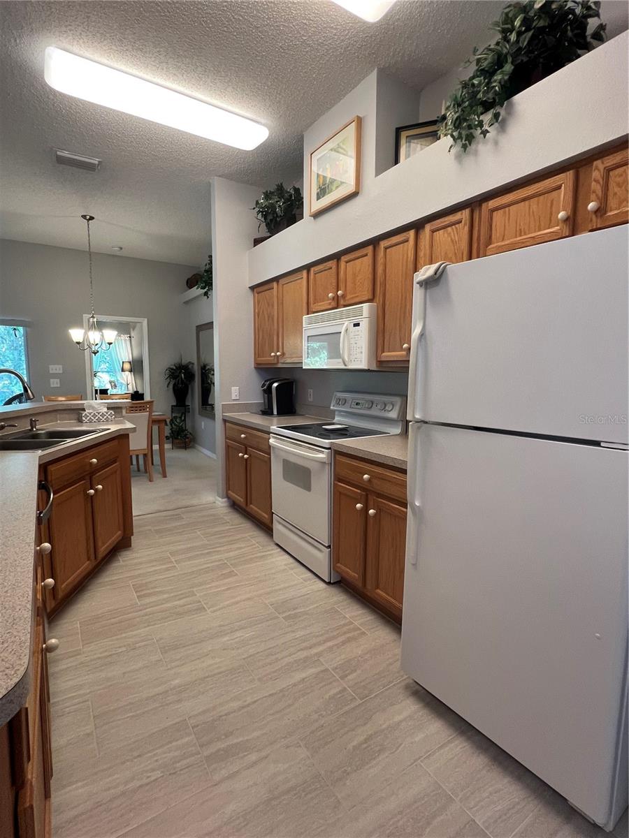 18030 WEBSTER GROVE DR, HUDSON, FL, 34667