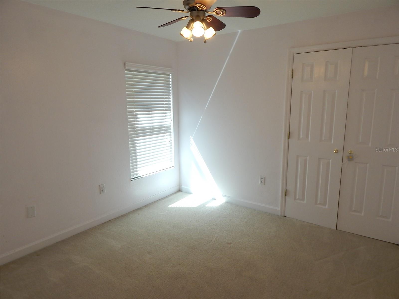 2807 W BAY HAVEN DR #1/2, TAMPA, FL, 33611