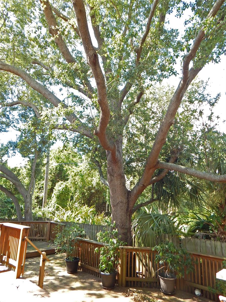 2807 W BAY HAVEN DR #1/2, TAMPA, FL, 33611