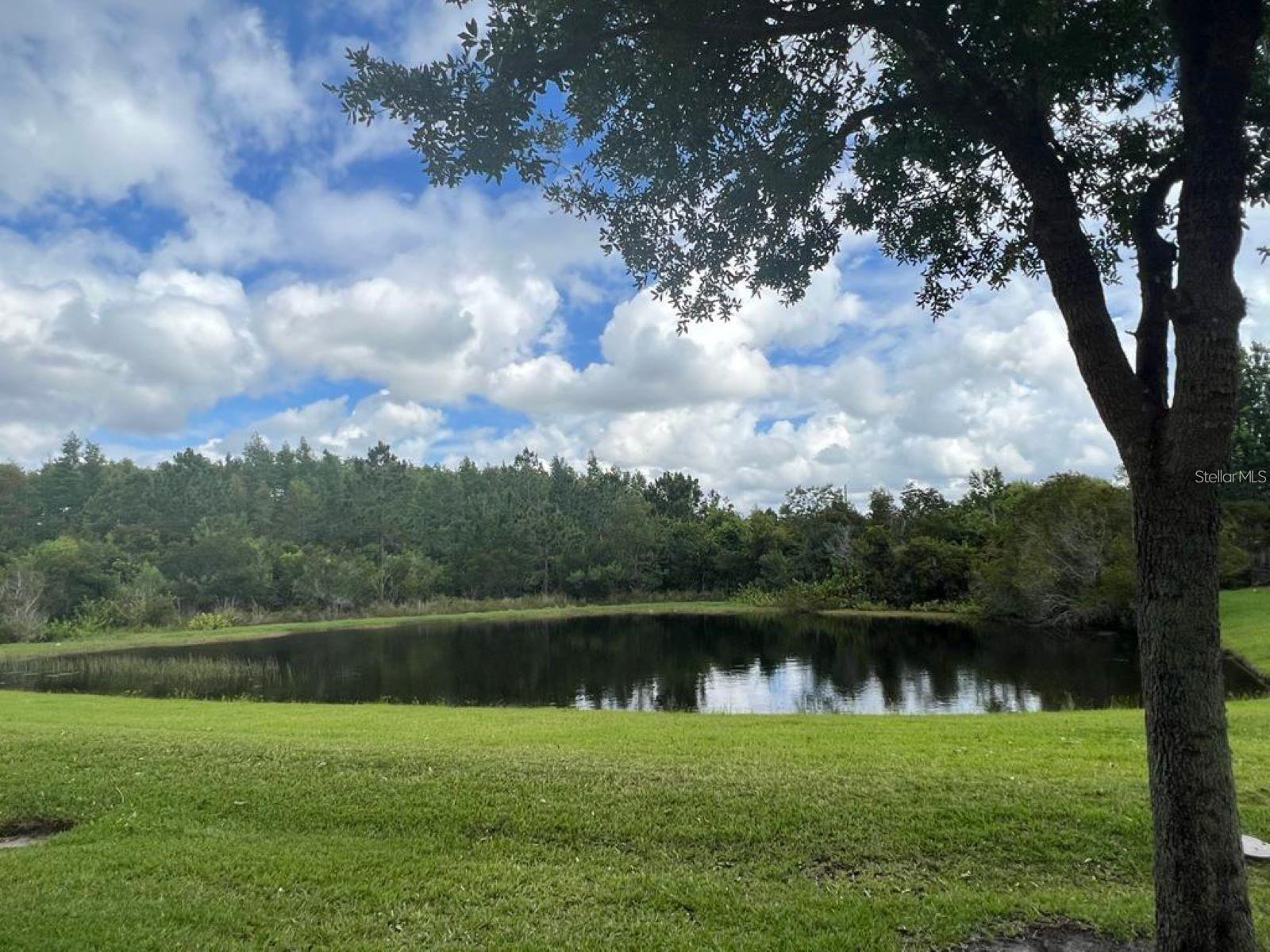 2841 ADELAIDE CT, ORLANDO, FL, 32824