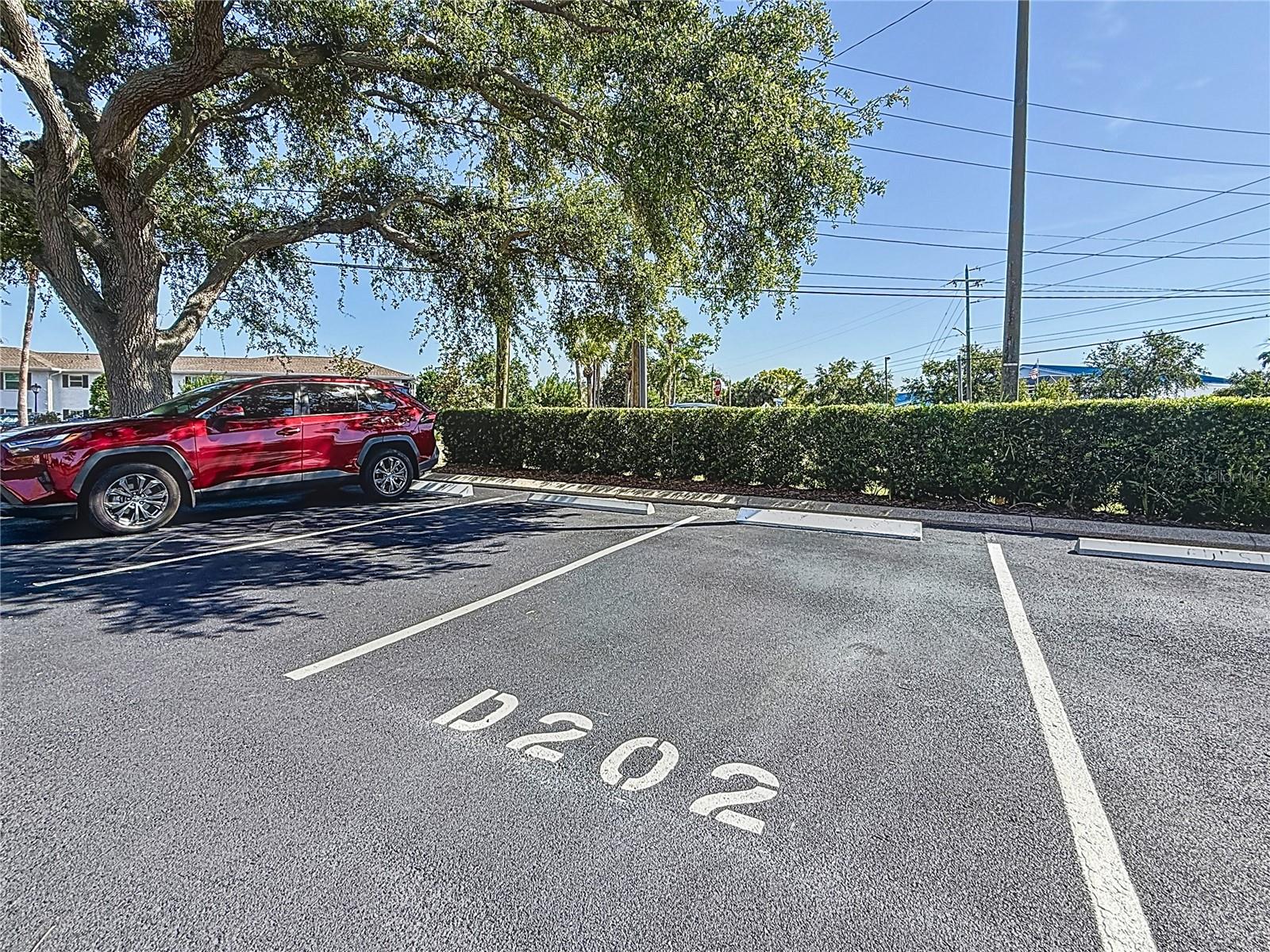 12900 VONN RD #D202, LARGO, FL, 33774