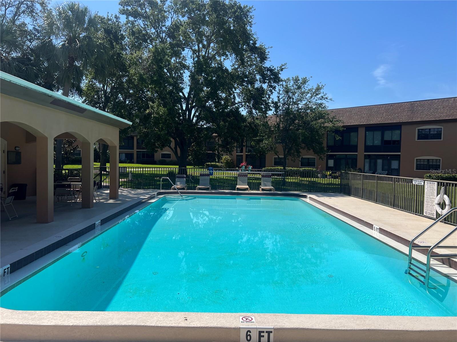 12900 VONN RD #D202, LARGO, FL, 33774