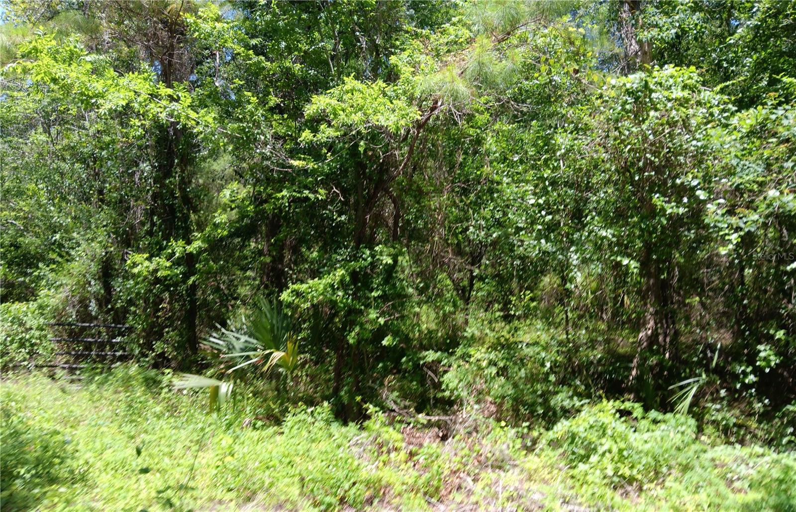 0 NW 82 CT, OCALA, FL, 34482