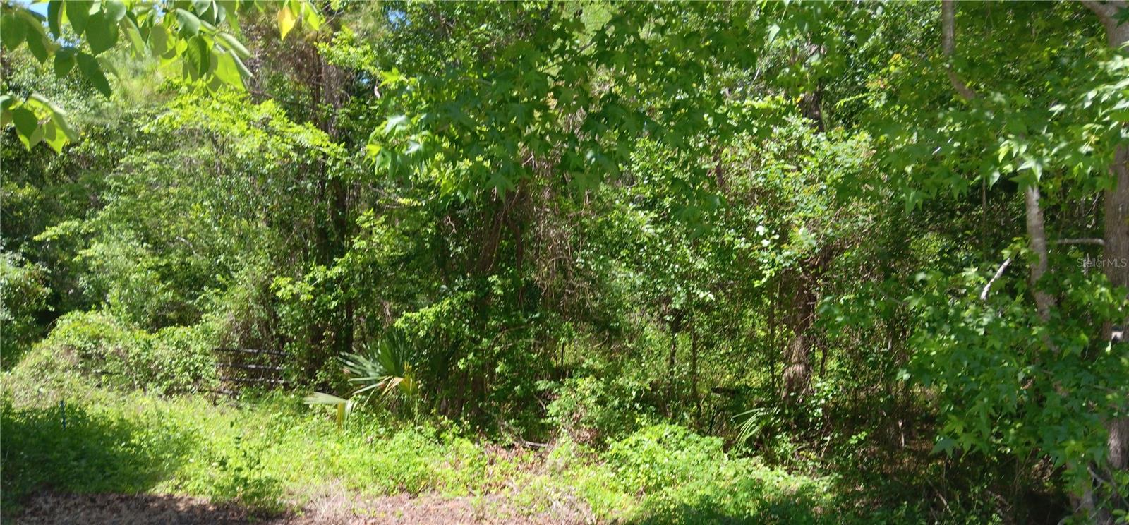 0 NW 82 CT, OCALA, FL, 34482