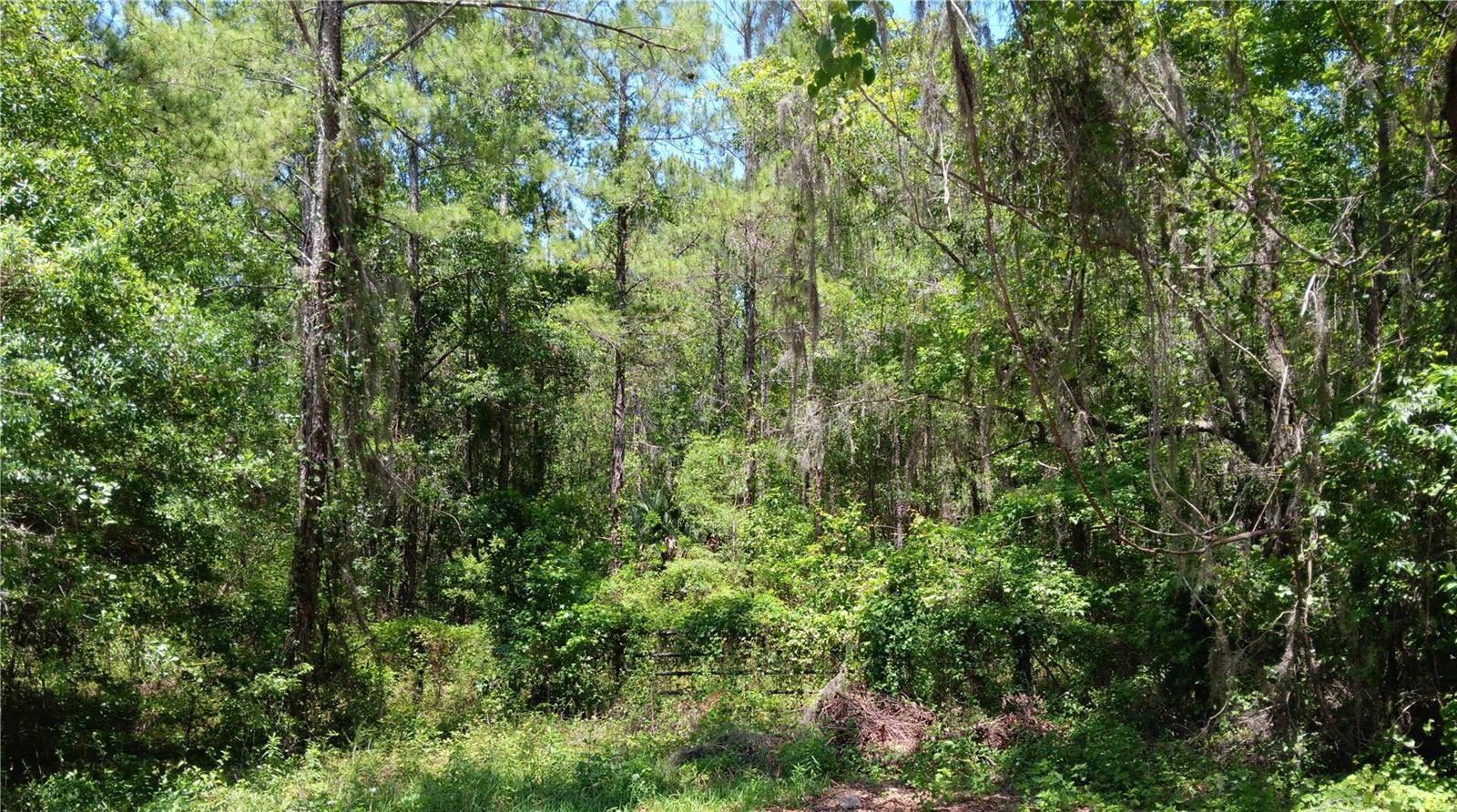 0 NW 82 CT, OCALA, FL, 34482