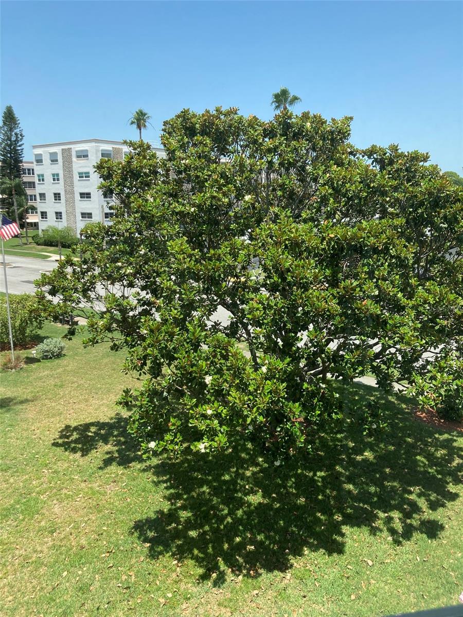 5530 80TH ST N #A306, ST PETERSBURG, FL, 33709