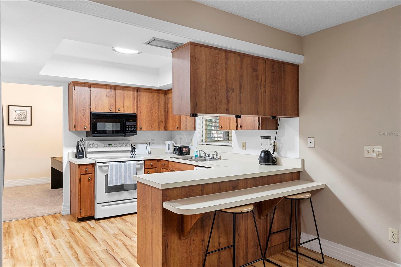 244 ANGELES RD, DEBARY, FL, 32713