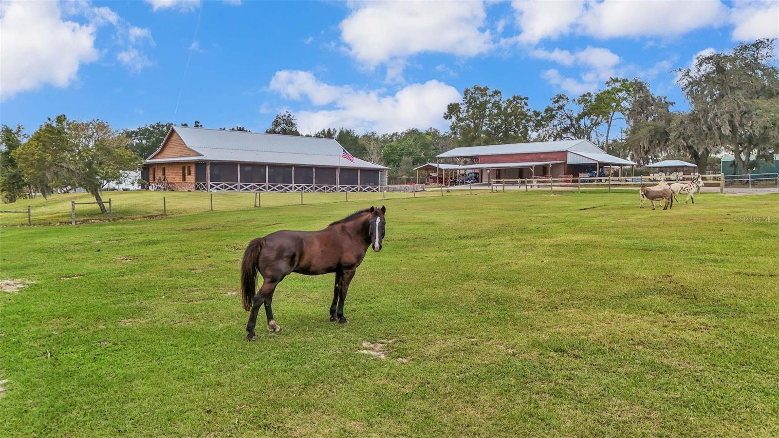 3182 INDIAN RIDGE PL, LAKELAND, FL, 33810
