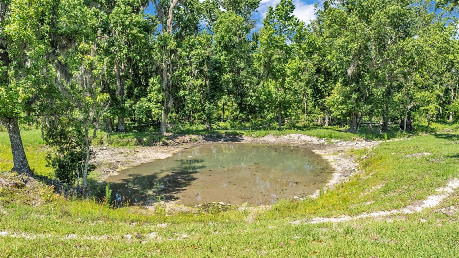 3182 INDIAN RIDGE PL, LAKELAND, FL, 33810