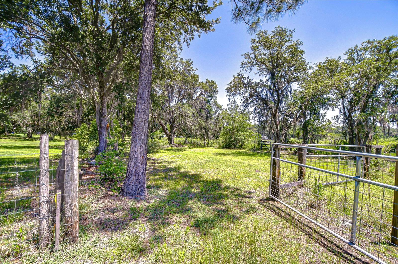 8342 FUSSELL DR, WESLEY CHAPEL, FL, 33545