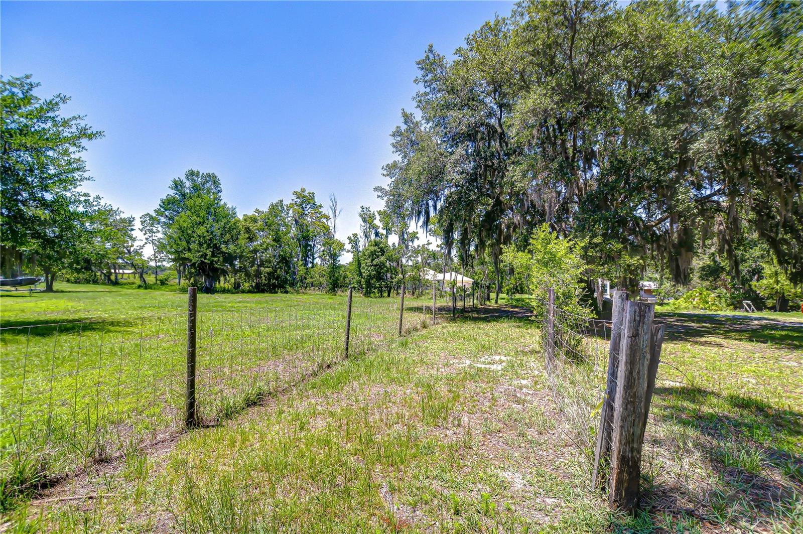 8342 FUSSELL DR, WESLEY CHAPEL, FL, 33545