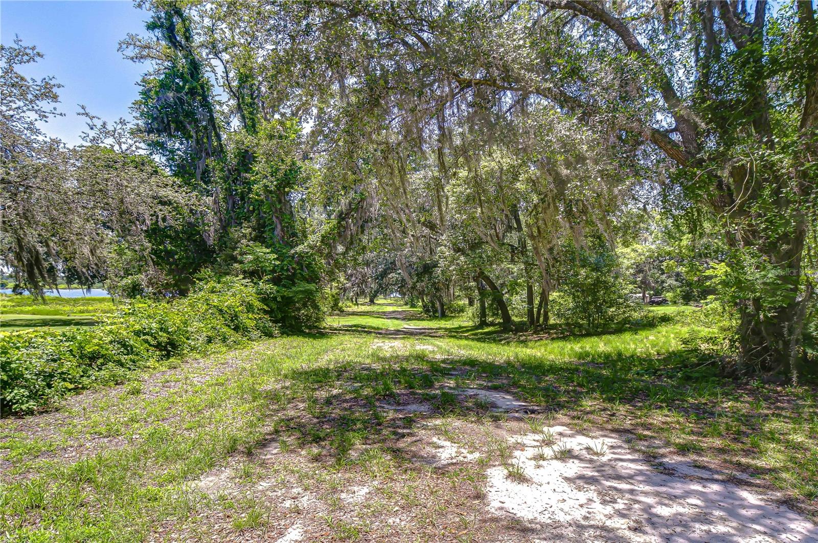 8342 FUSSELL DR, WESLEY CHAPEL, FL, 33545