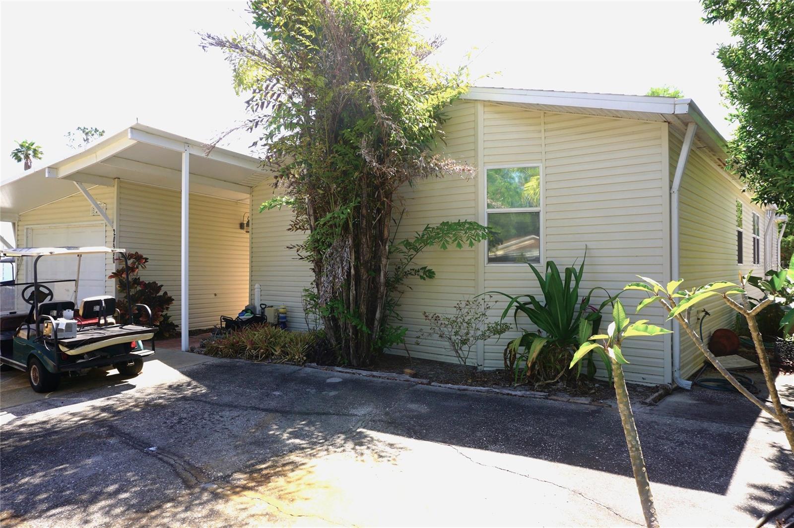 20960 LITTLE MAGENS LOOP, LUTZ, FL, 33558