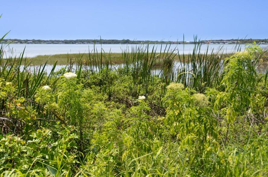 CR 559 #559, AUBURNDALE, FL, 33823