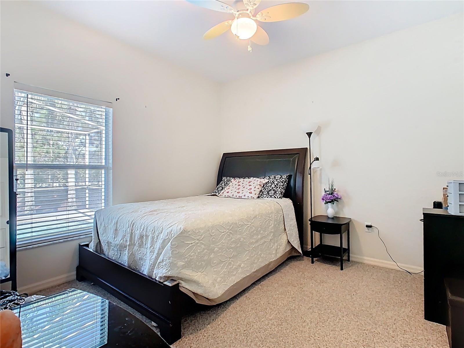 123 EVERGREEN DR, AUBURNDALE, FL, 33823