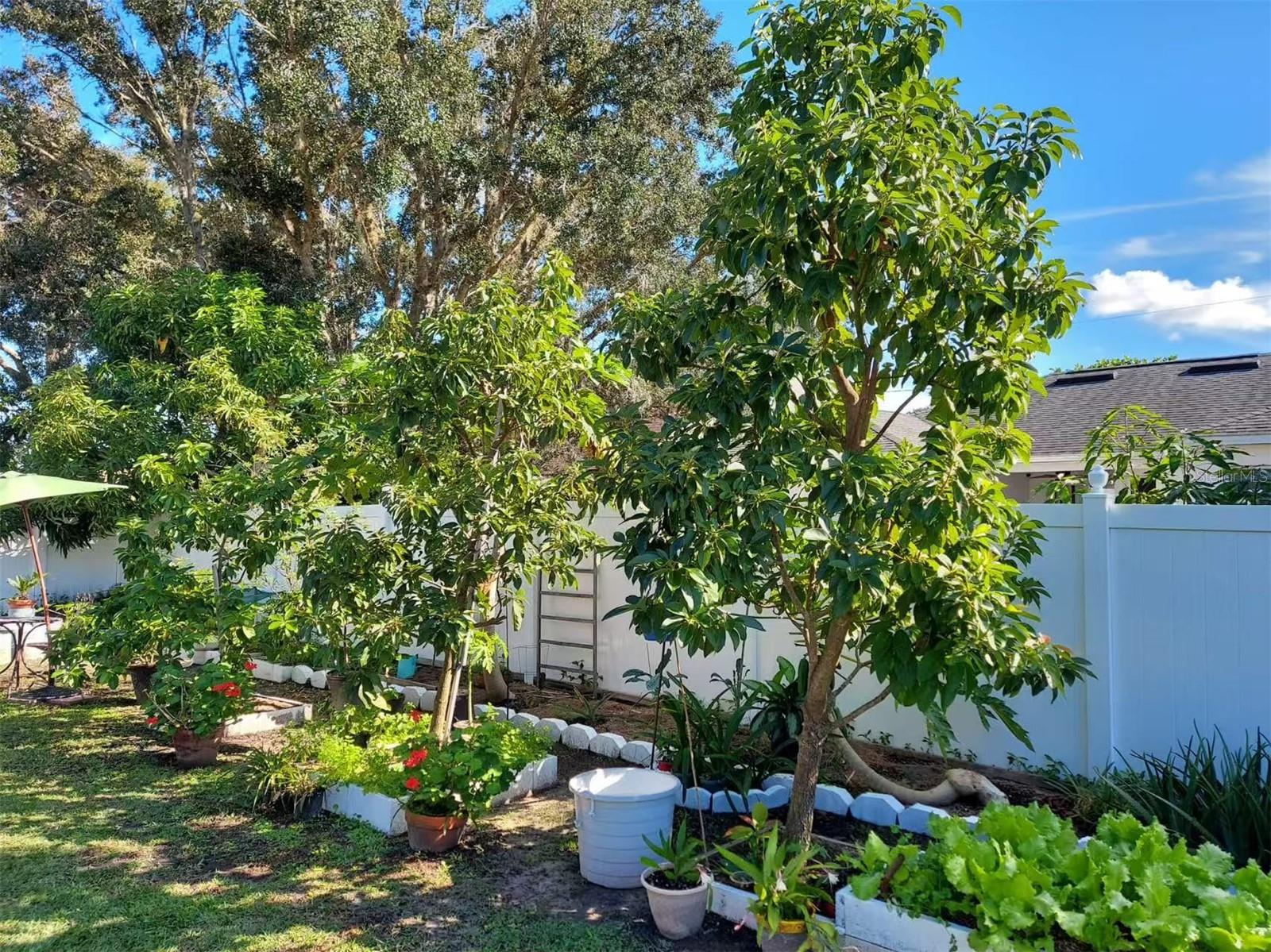 455 EAGLE DR, KISSIMMEE, FL, 34759