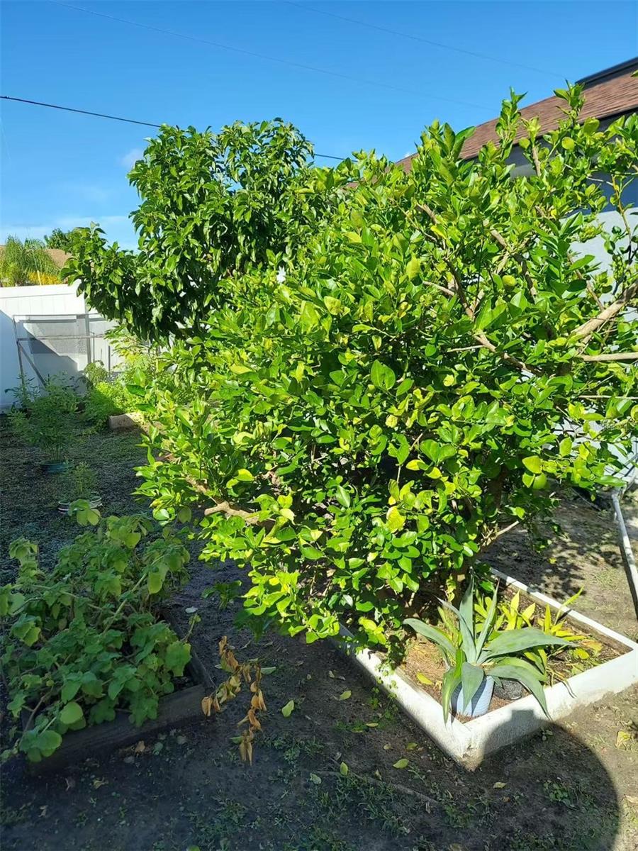 455 EAGLE DR, KISSIMMEE, FL, 34759