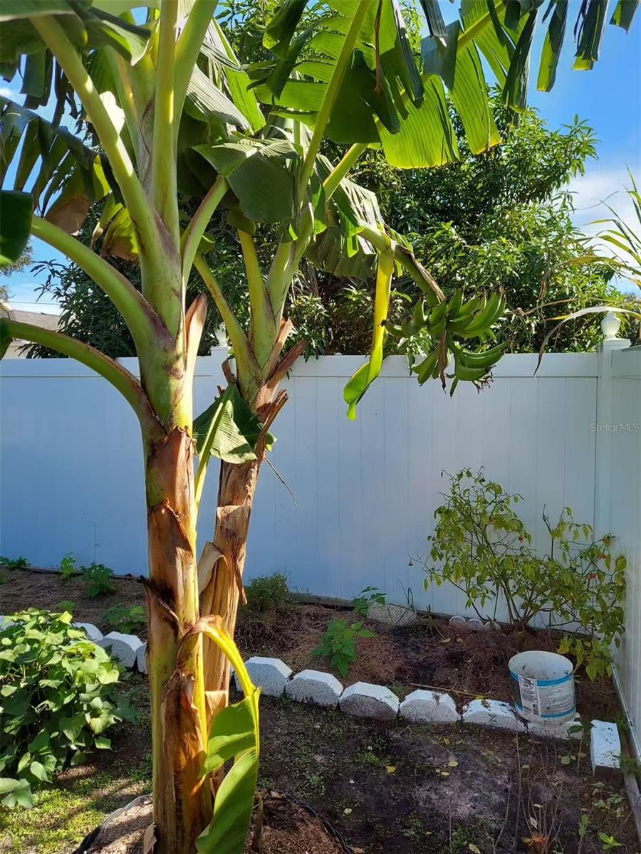 455 EAGLE DR, KISSIMMEE, FL, 34759