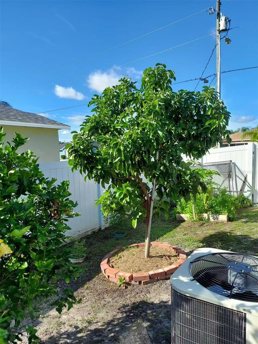 455 EAGLE DR, KISSIMMEE, FL, 34759