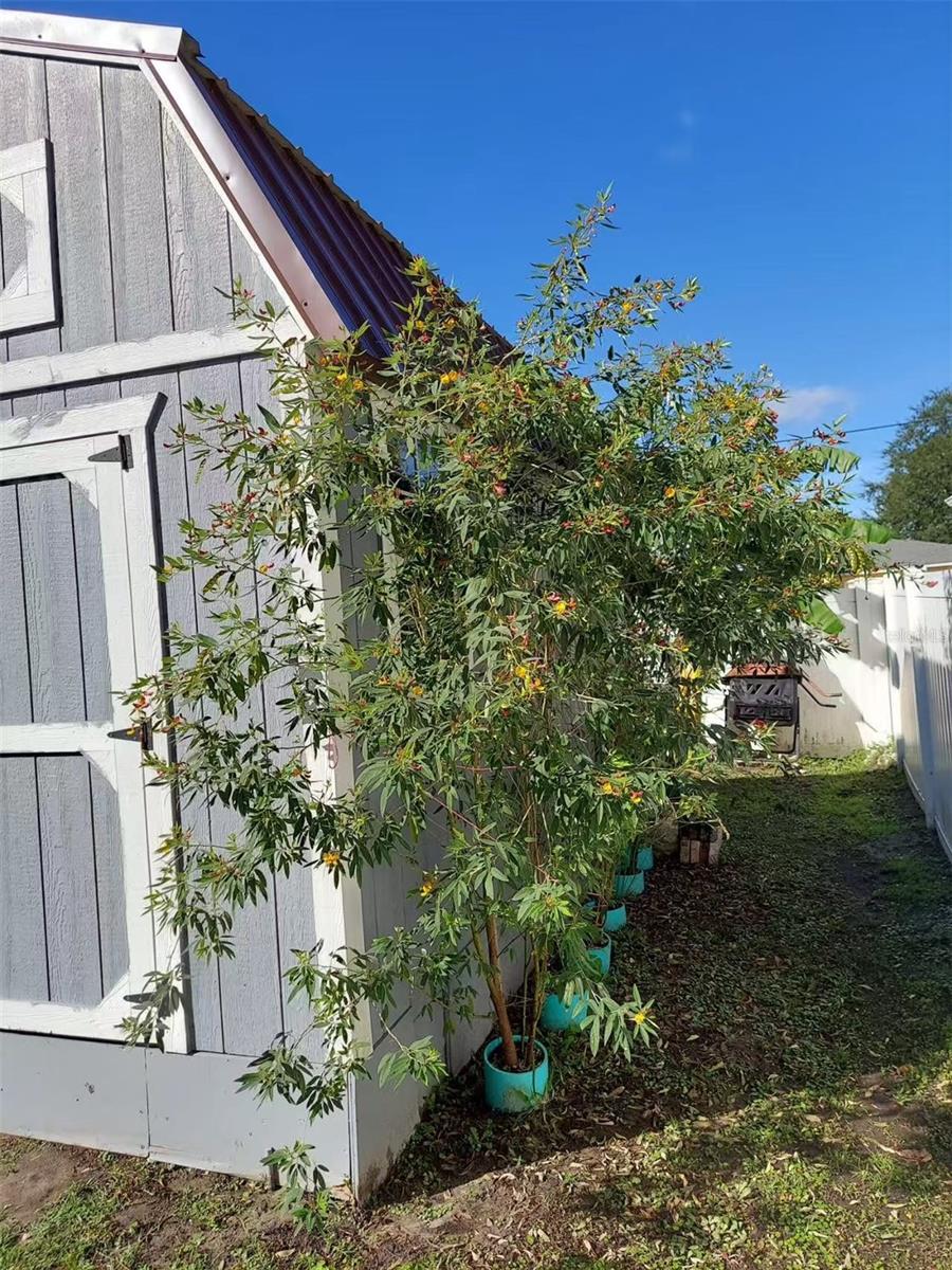 455 EAGLE DR, KISSIMMEE, FL, 34759