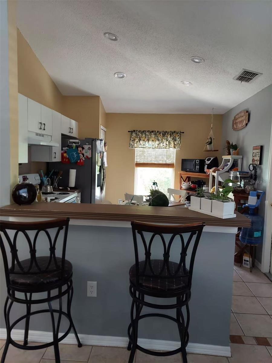 455 EAGLE DR, KISSIMMEE, FL, 34759