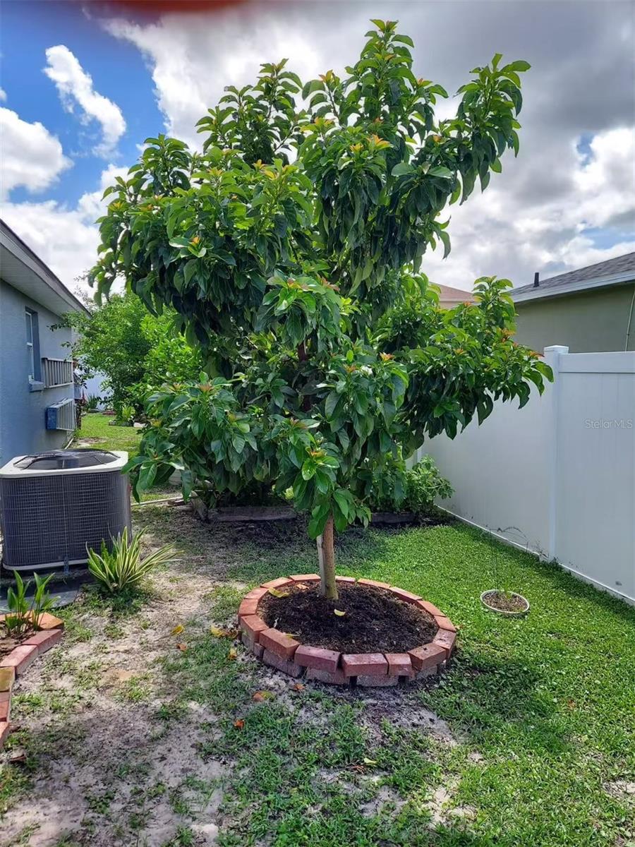 455 EAGLE DR, KISSIMMEE, FL, 34759