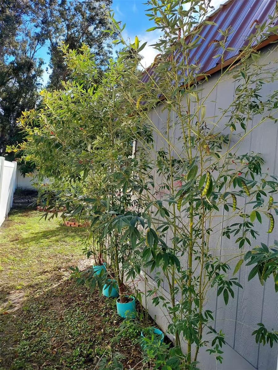 455 EAGLE DR, KISSIMMEE, FL, 34759