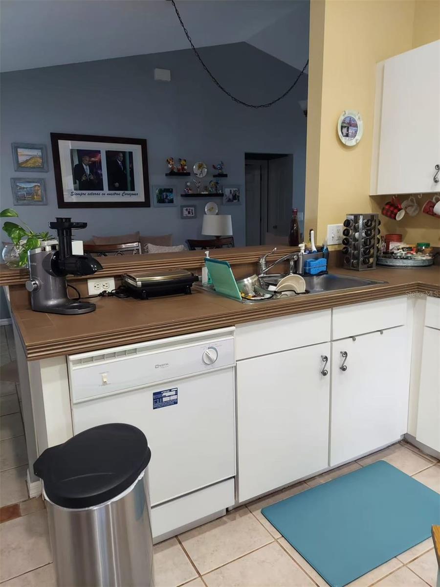 455 EAGLE DR, KISSIMMEE, FL, 34759