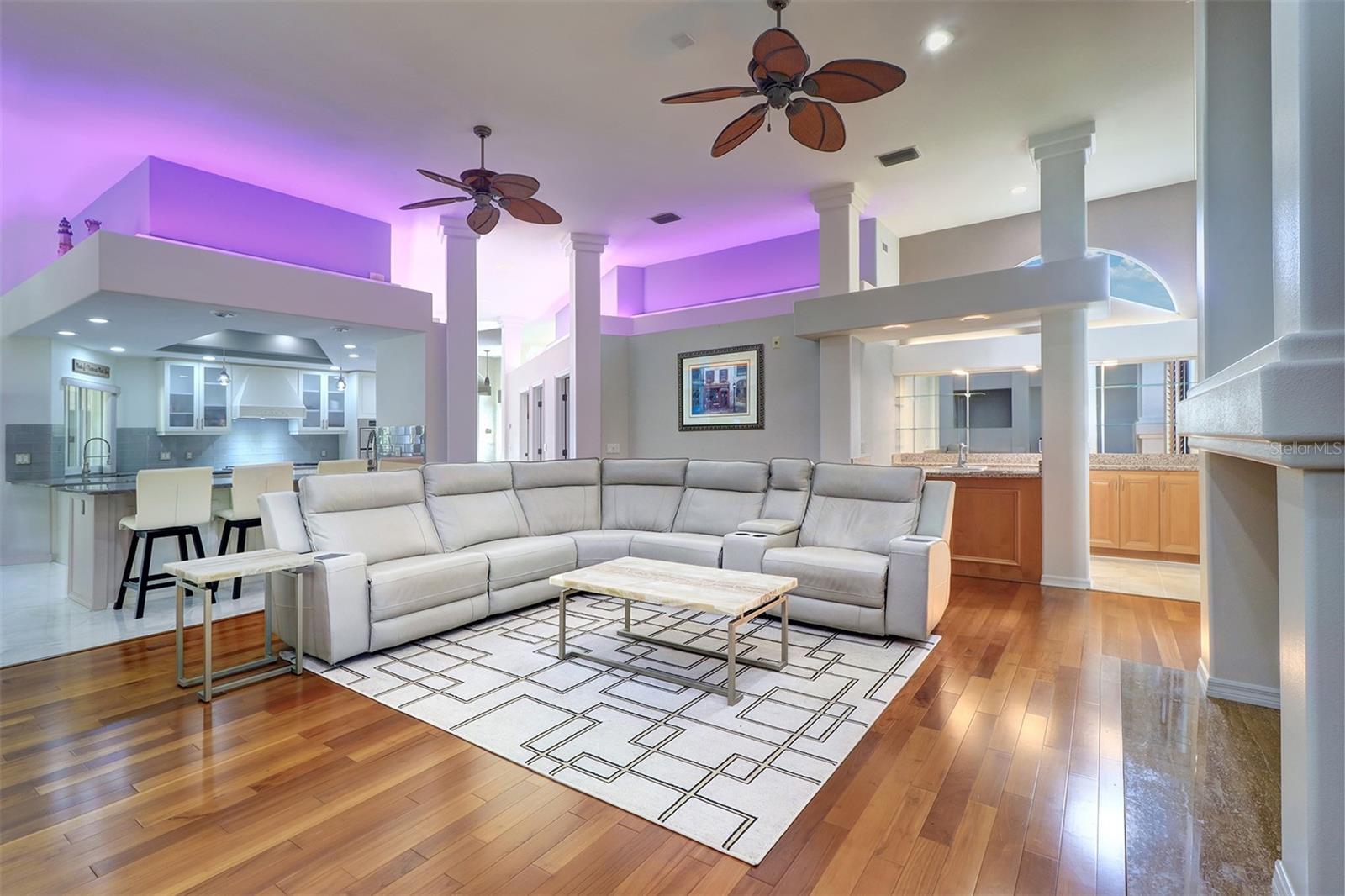 1705 MEYERS COVE DR, TARPON SPRINGS, FL, 34689