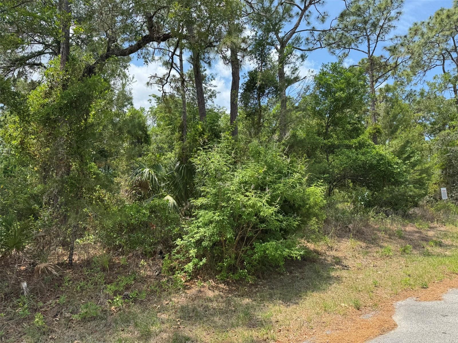 Lot 79 WATERBIRD WAY, BROOKSVILLE, FL, 34613