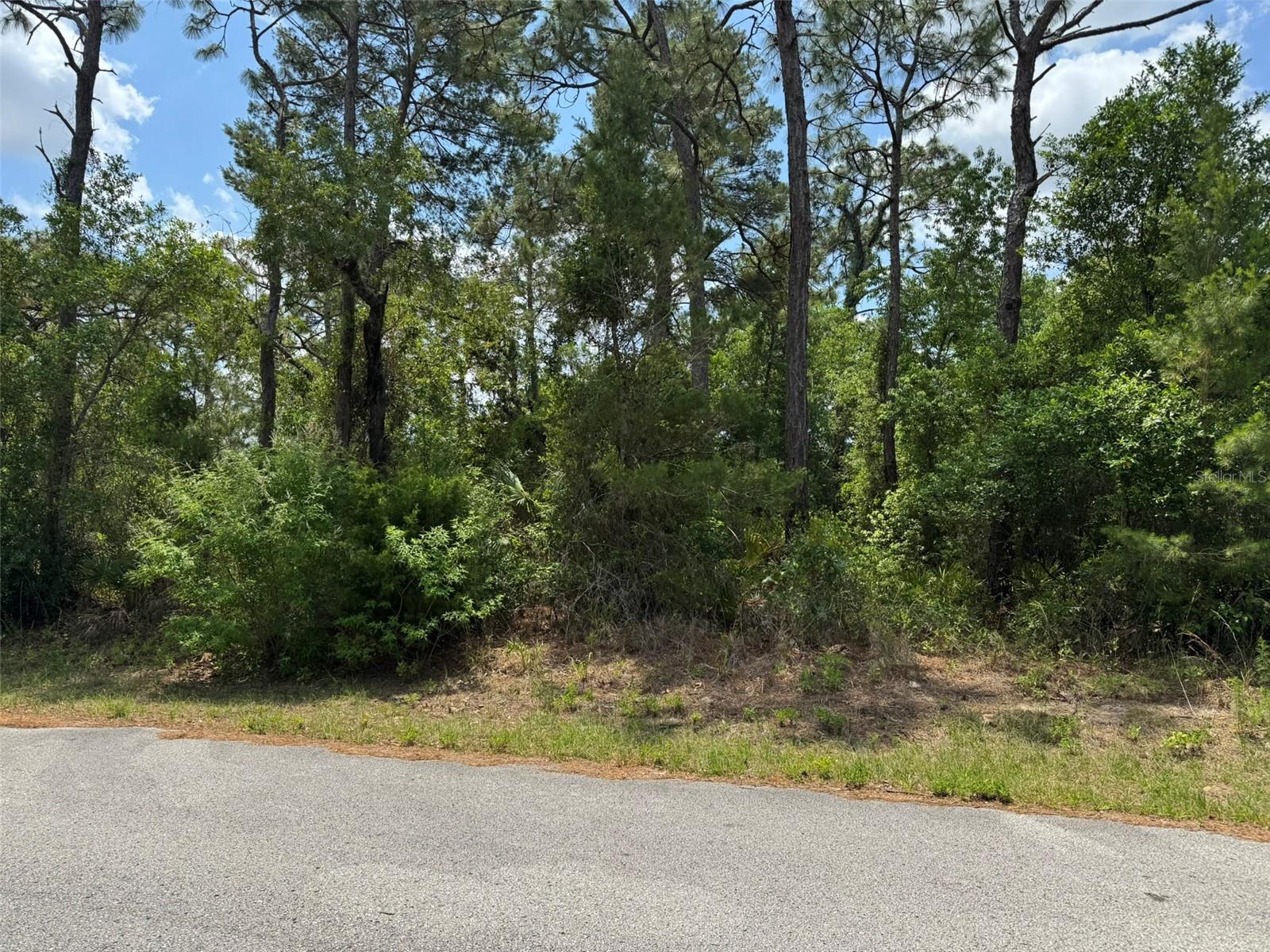 Lot 79 WATERBIRD WAY, BROOKSVILLE, FL, 34613