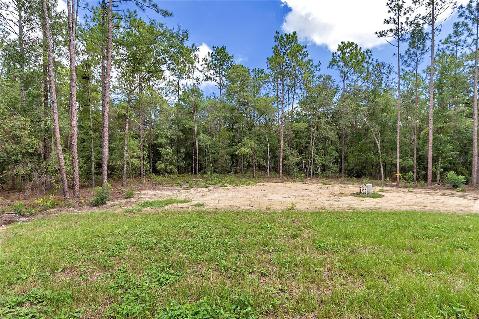 6805 SW 131 CIR, OCALA, FL, 34481