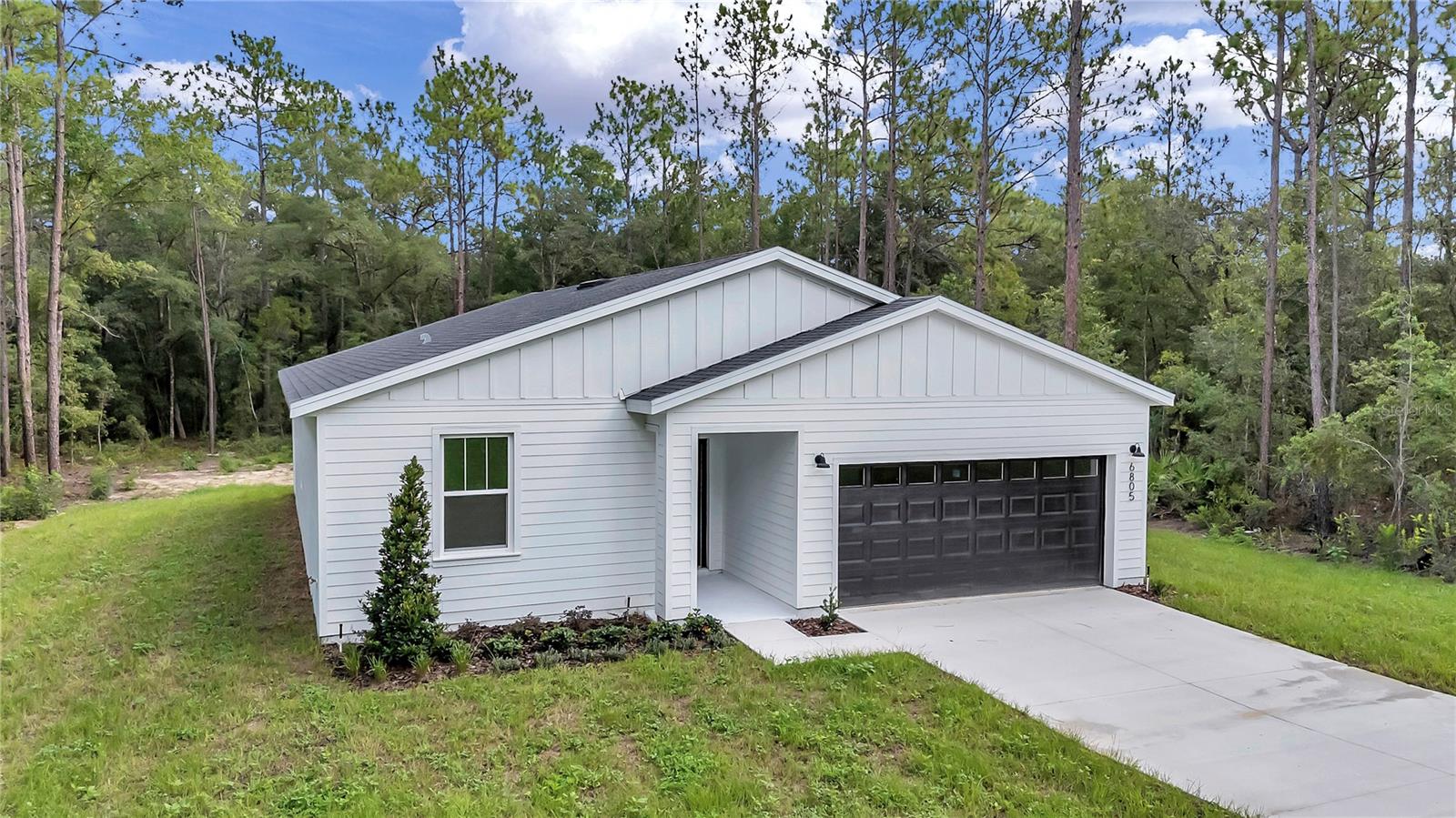 6805 SW 131 CIR, OCALA, FL, 34481