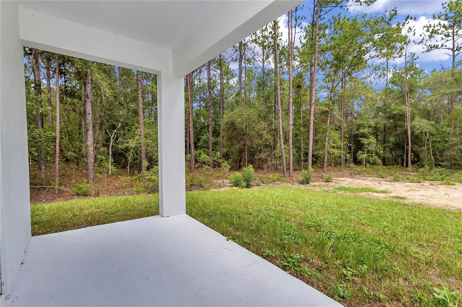 6805 SW 131 CIR, OCALA, FL, 34481