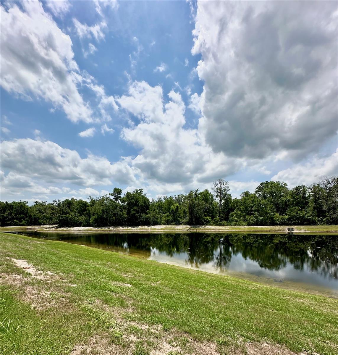 11055 BELLE HAVEN DR, NEW PORT RICHEY, FL, 34654